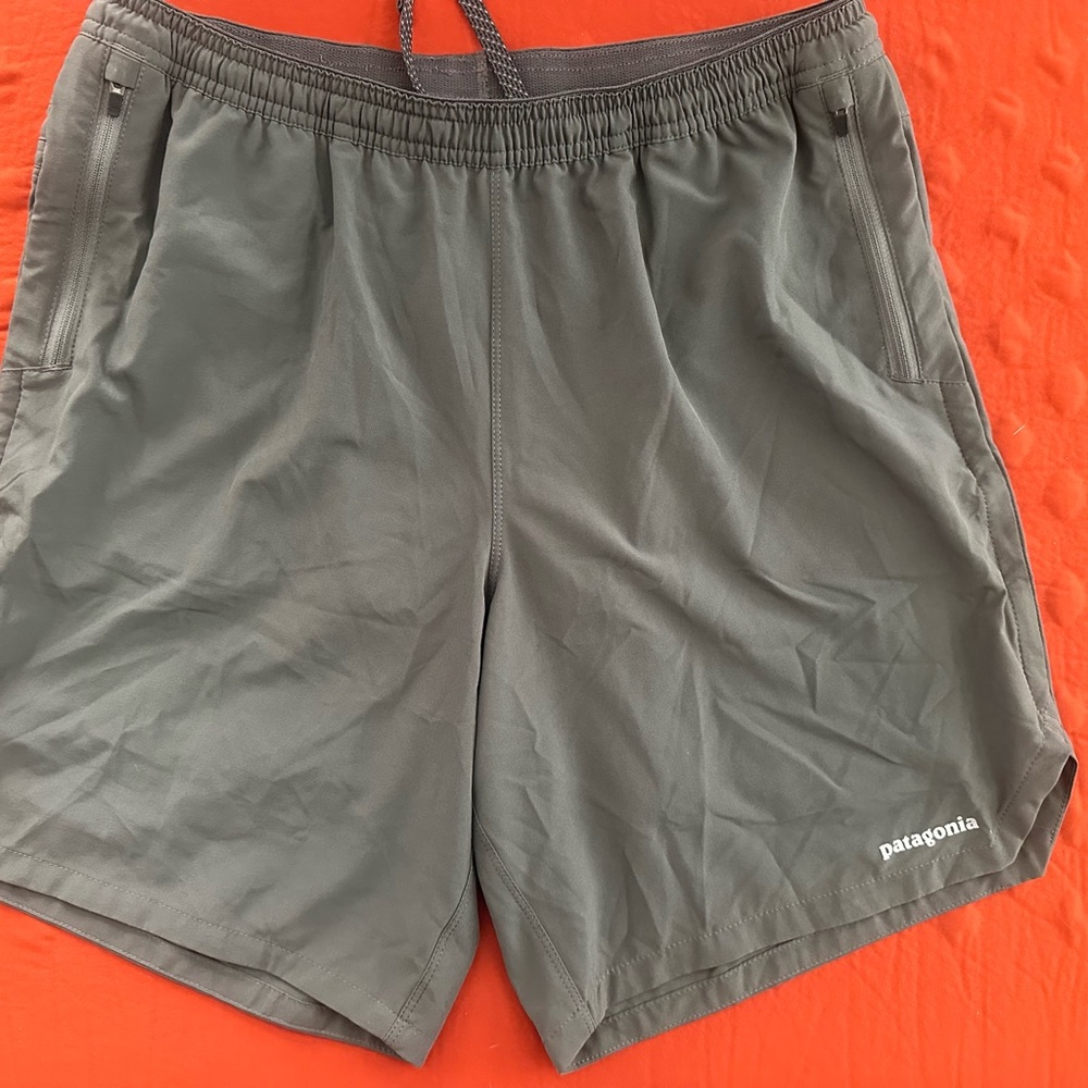 Patagonia Men's Grey Shorts